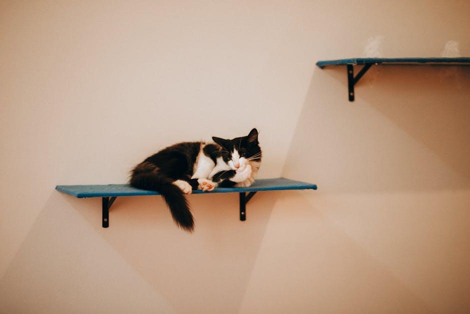 Snuggle Up with Stylish Cat Beds for Ultimate Comfort