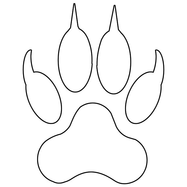Keeping ‌Those Claws in Check: Grooming‌ Tips for a Happy Cat